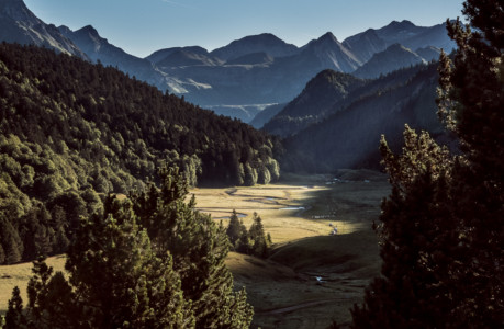 Montée en estive des troupeaux ossalois, plateau de Cap de Pount au petit matin, juillet 2020